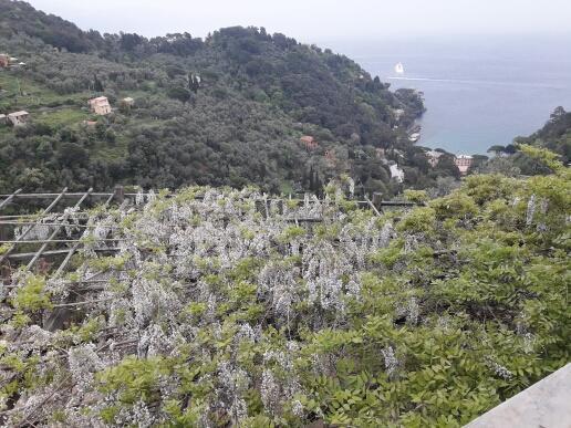 Trekking In Paradise B&B Santa Margherita Ligure Exterior foto