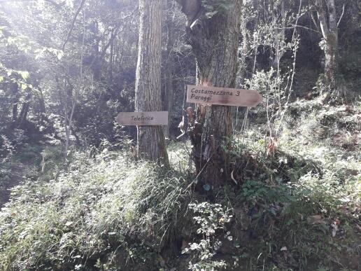 Trekking In Paradise B&B Santa Margherita Ligure Exterior foto
