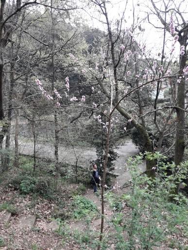 Trekking In Paradise B&B Santa Margherita Ligure Exterior foto