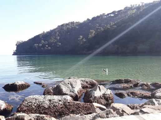 Trekking In Paradise B&B Santa Margherita Ligure Exterior foto