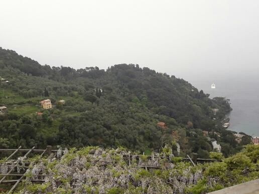 Trekking In Paradise B&B Santa Margherita Ligure Exterior foto