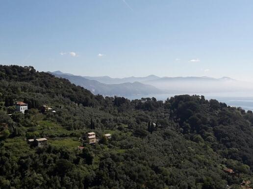Trekking In Paradise B&B Santa Margherita Ligure Exterior foto